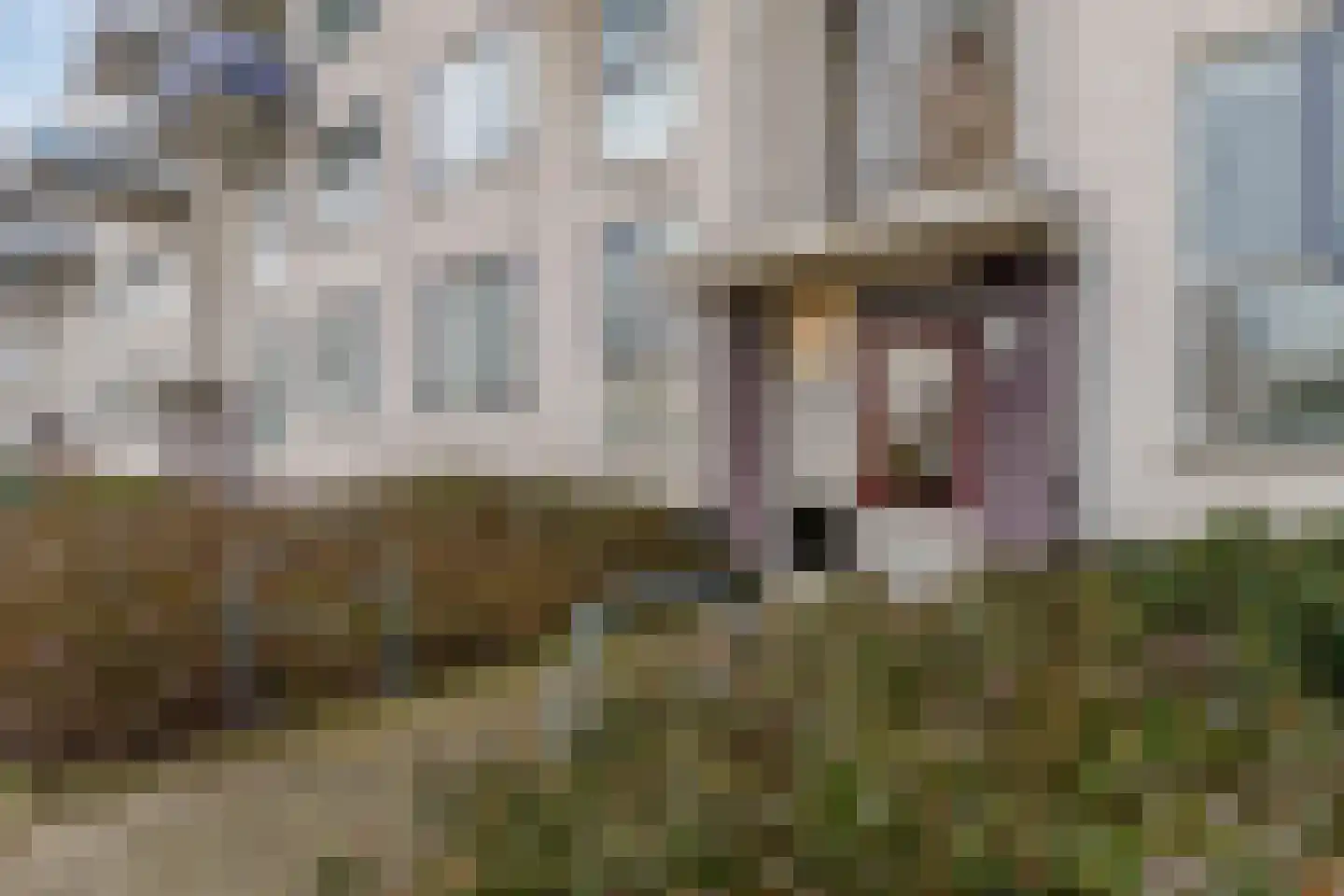Standerd 35 Valburg thumbnail 36