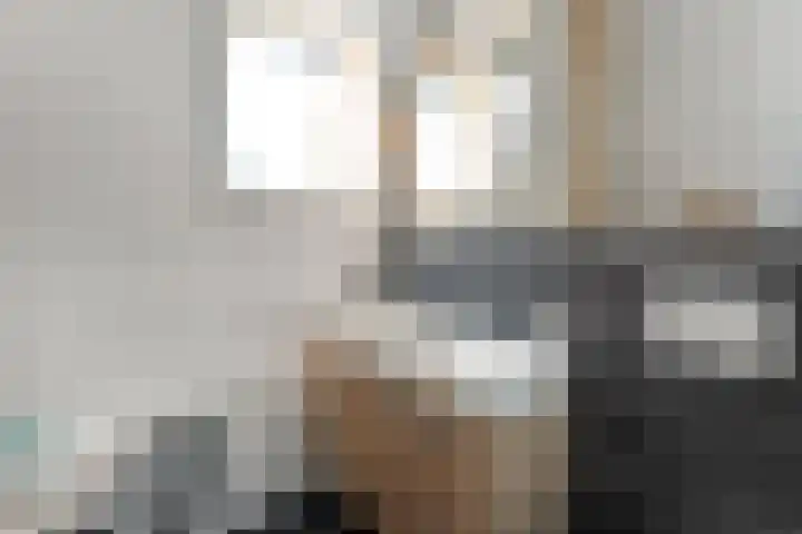 Standerd 35 Valburg thumbnail 37