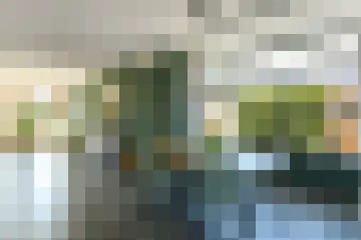 Standerd 35 Valburg thumbnail 6