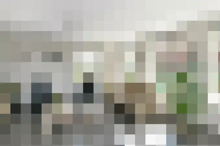 Standerd 35 Valburg thumbnail 7