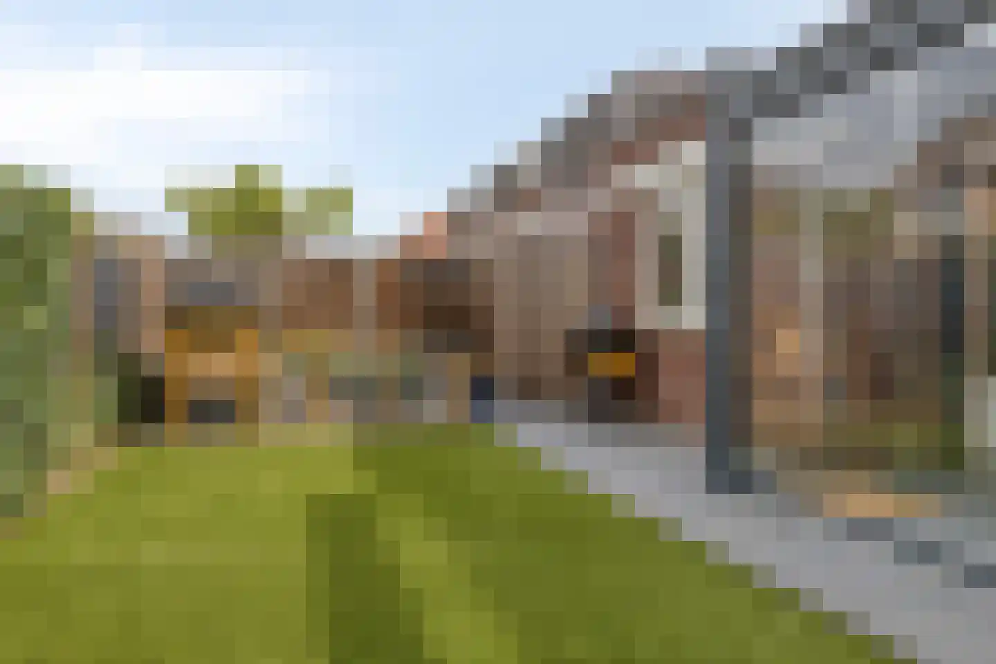 Standerd 47 Valburg thumbnail 32