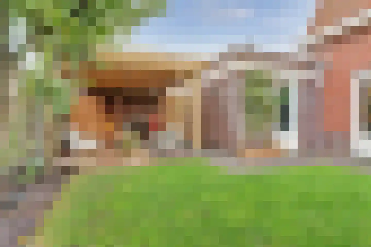Standerd 55 Valburg thumbnail 33