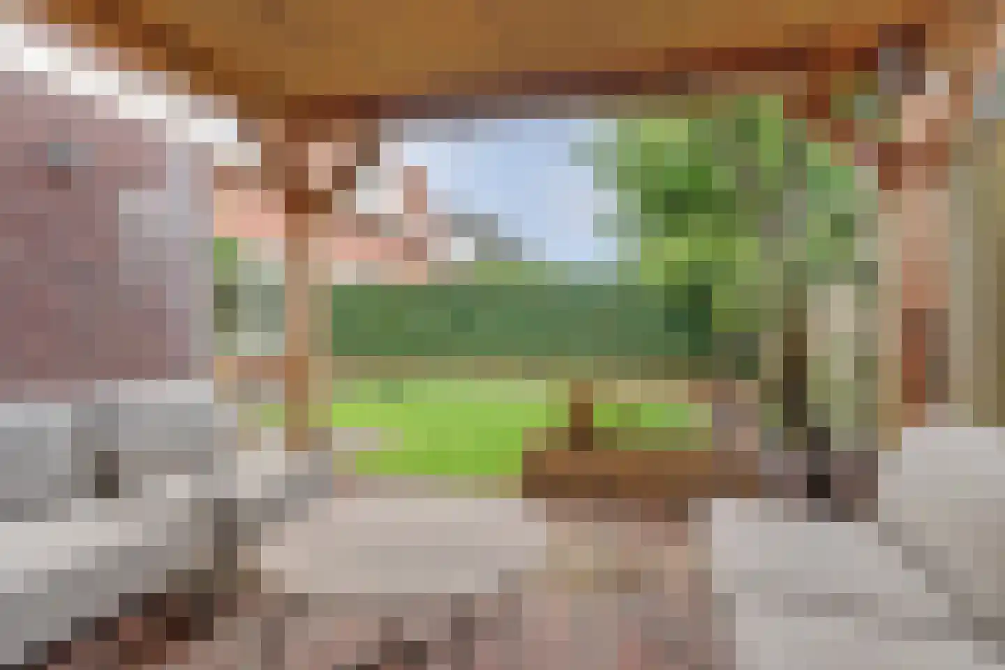 Standerd 55 Valburg thumbnail 36