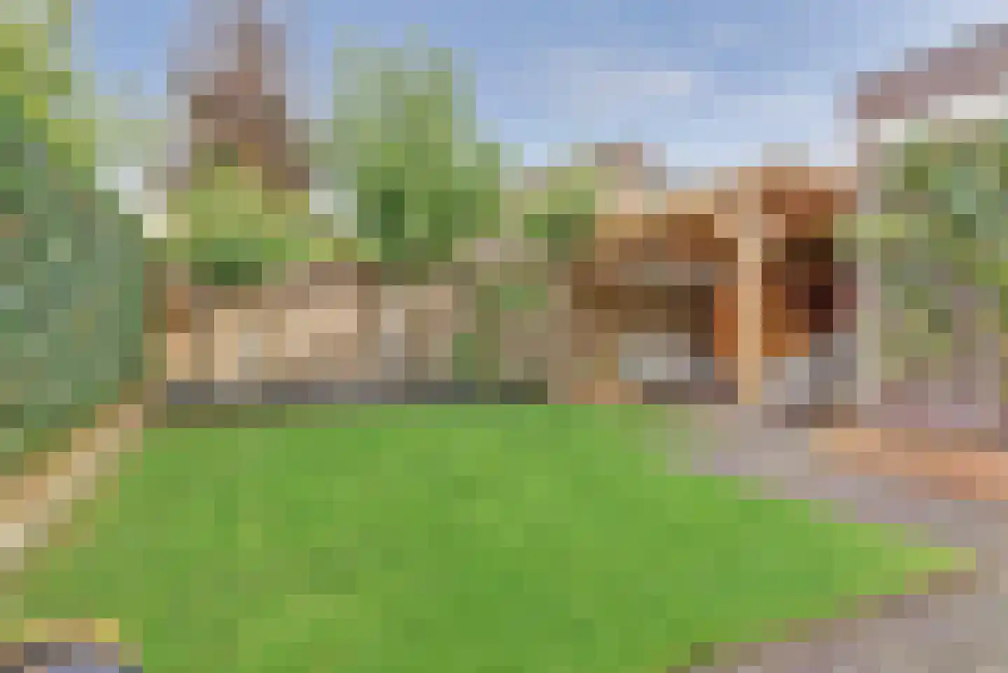 Standerd 55 Valburg thumbnail 4
