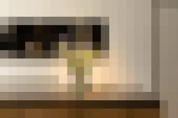 Standerdlaan 19 Heiloo thumbnail 25