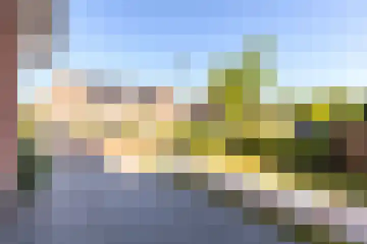 Standerdlaan 19 Heiloo thumbnail 50