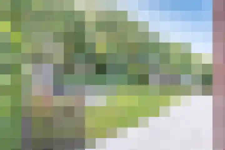 Standerdlaan 19 Heiloo thumbnail 59