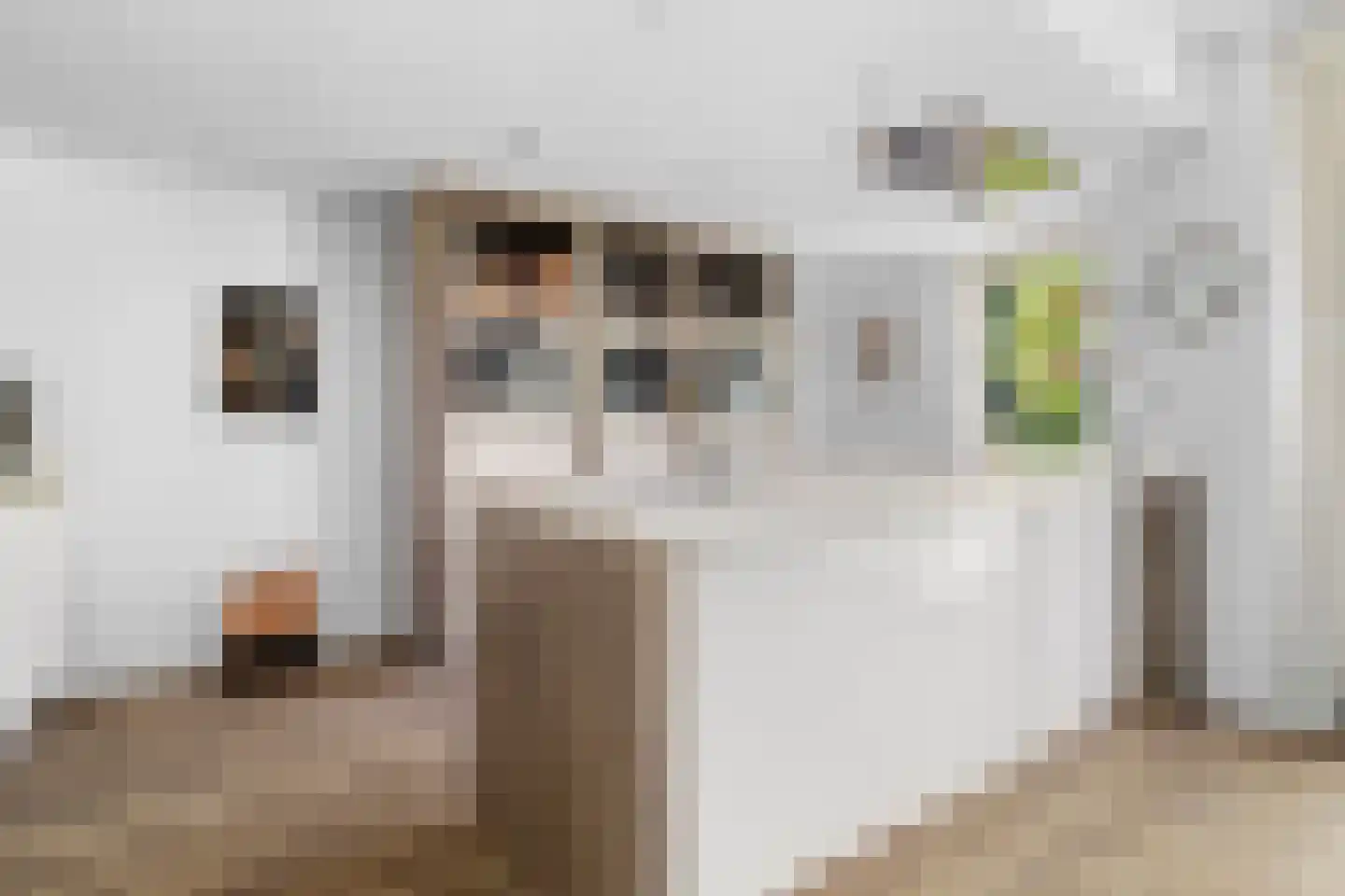 Standerdlaan 22 Heiloo thumbnail 21