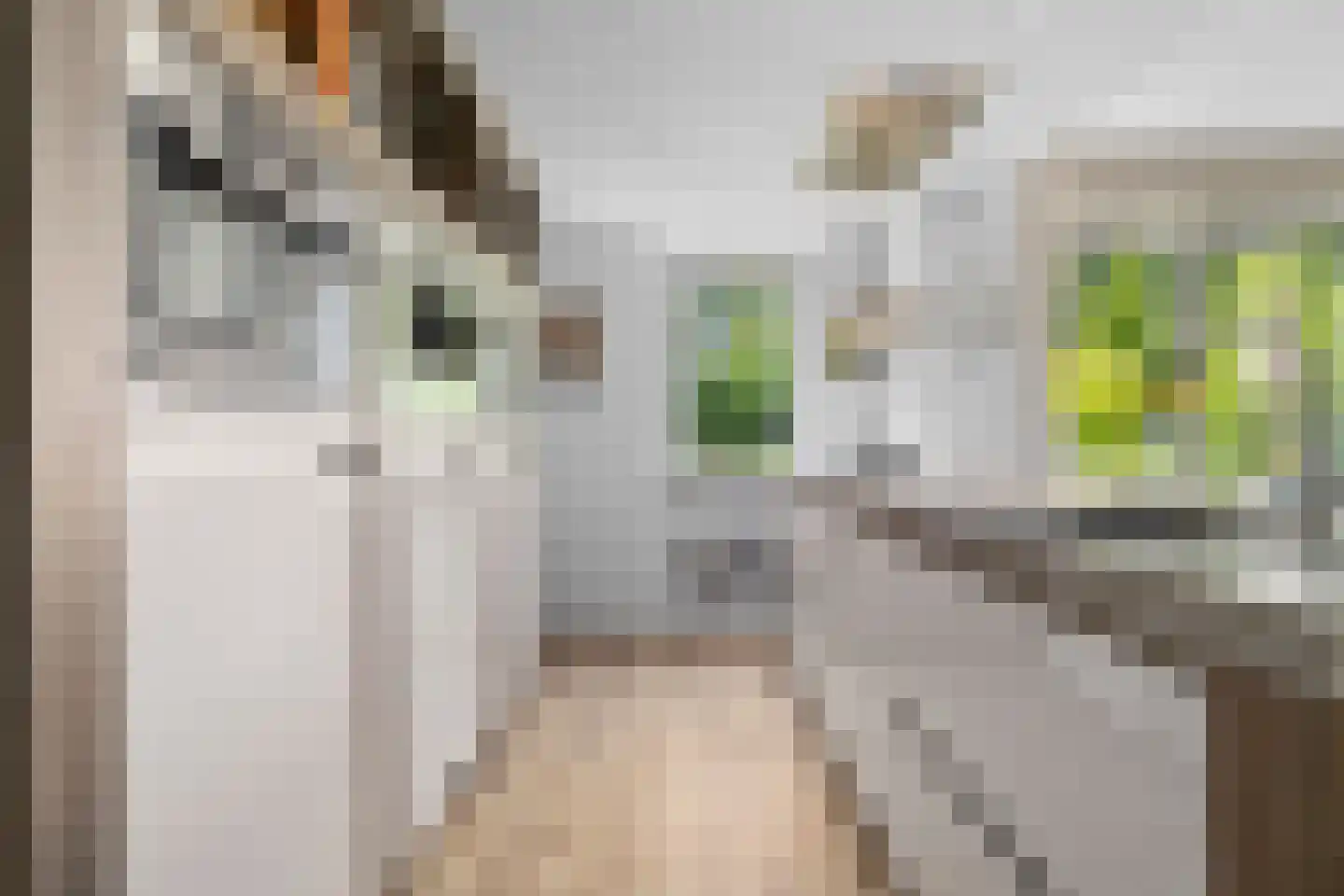Standerdlaan 22 Heiloo thumbnail 22