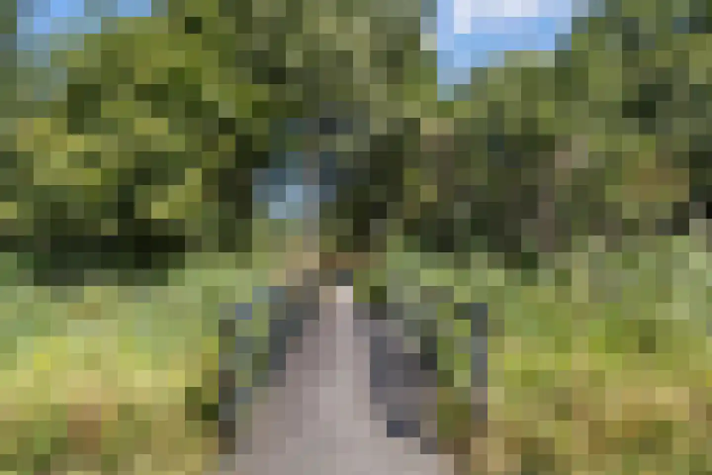 Standerdlaan 22 Heiloo thumbnail 27