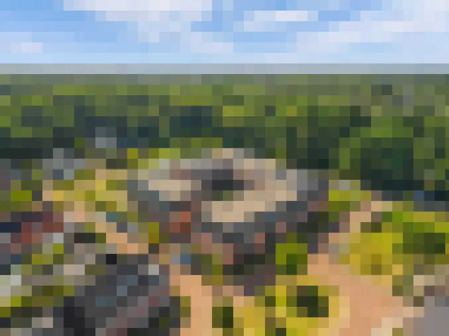 Standerdlaan 22 Heiloo thumbnail 5