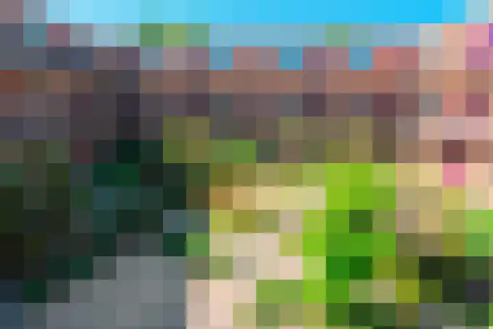 Standerdlaan 34 Heiloo thumbnail 21