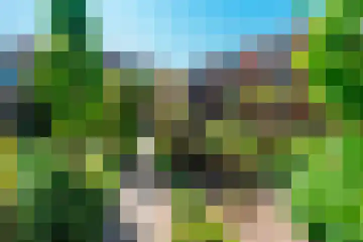 Standerdlaan 34 Heiloo thumbnail 22