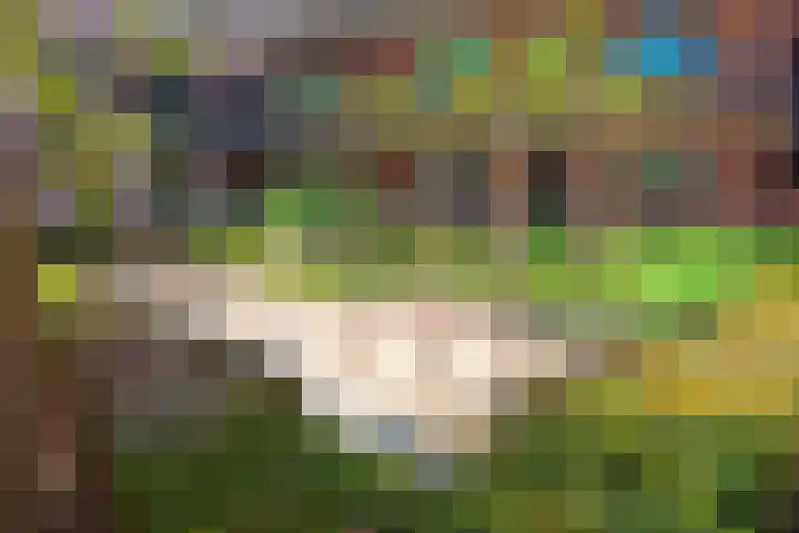 Standerdlaan 34 Heiloo thumbnail 23