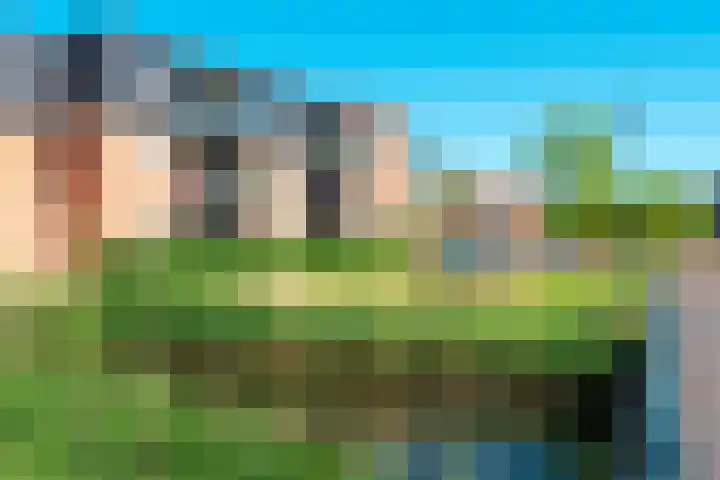 Standerdlaan 34 Heiloo thumbnail 26