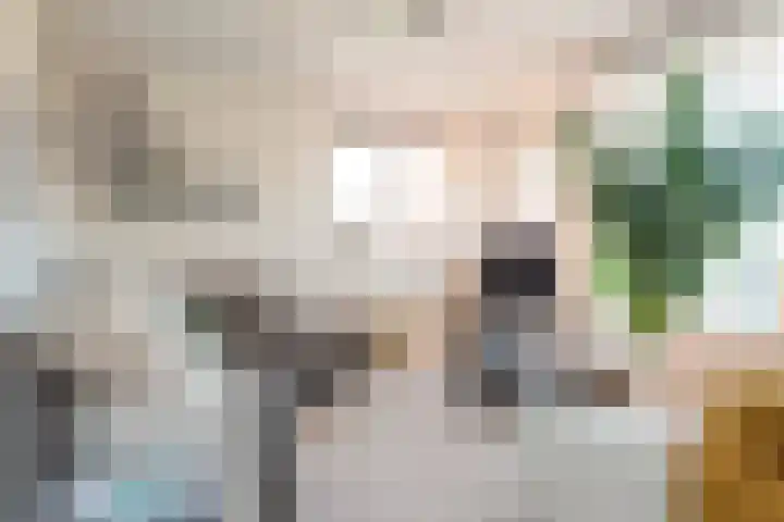 Standerdlaan 34 Heiloo thumbnail 4