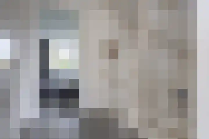 Standerdlaan 5 Heiloo thumbnail 27