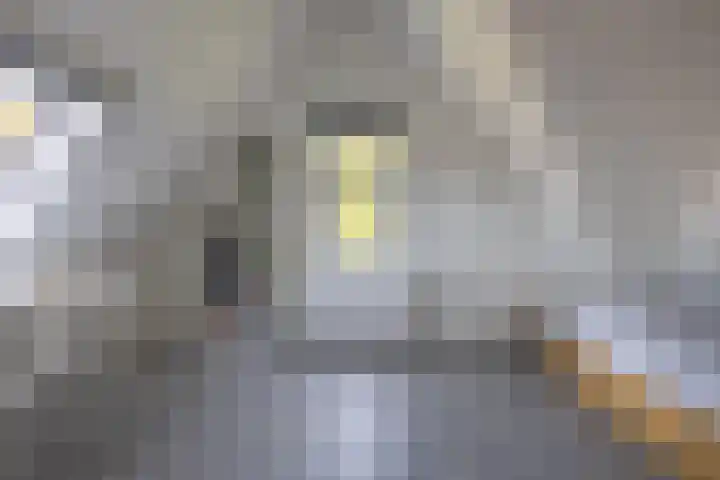 Standerdlaan 5 Heiloo thumbnail 31