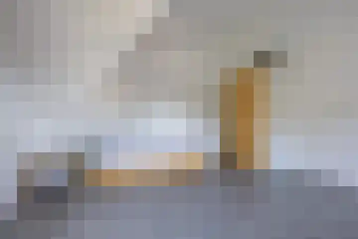 Standerdlaan 5 Heiloo thumbnail 32