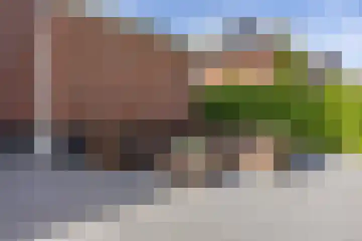 Standerdlaan 5 Heiloo thumbnail 36