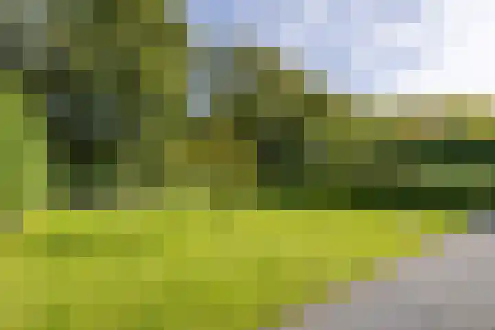 Standerdlaan 5 Heiloo thumbnail 38