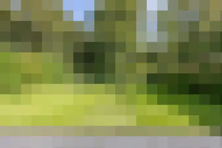 Standerdlaan 5 Heiloo thumbnail 39