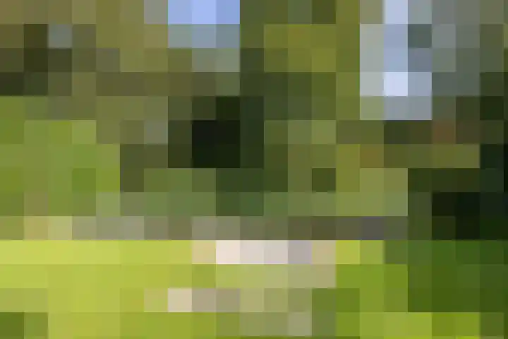 Standerdlaan 5 Heiloo thumbnail 40