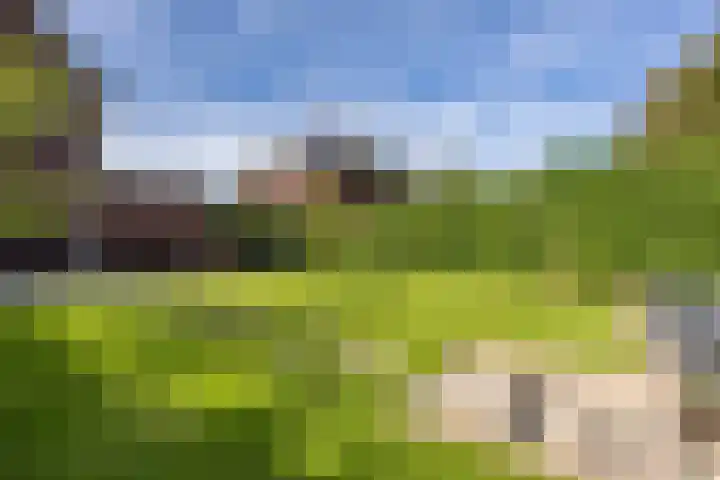Standerdlaan 5 Heiloo thumbnail 41