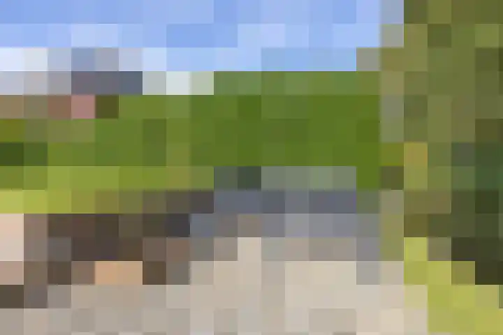 Standerdlaan 5 Heiloo thumbnail 42