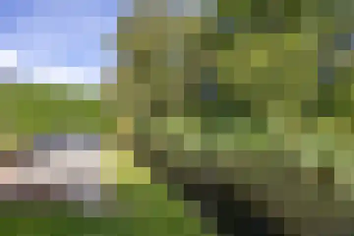 Standerdlaan 5 Heiloo thumbnail 43