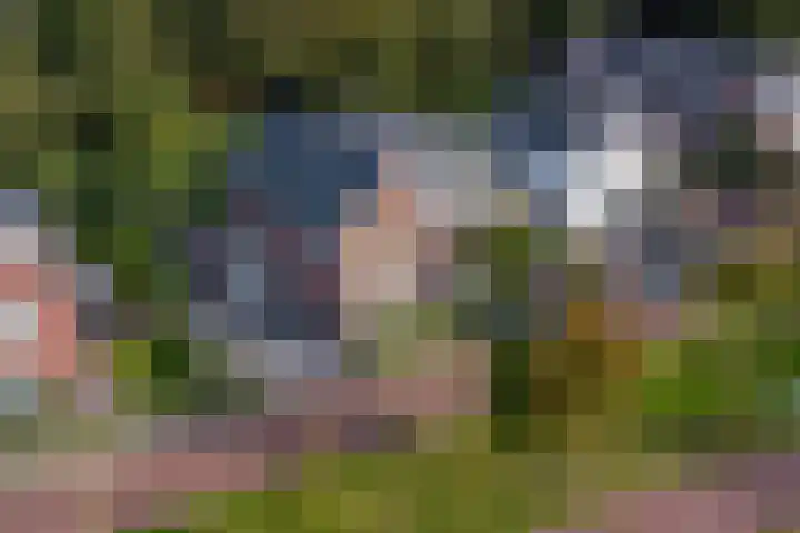 Standerdlaan 5 Heiloo thumbnail 49