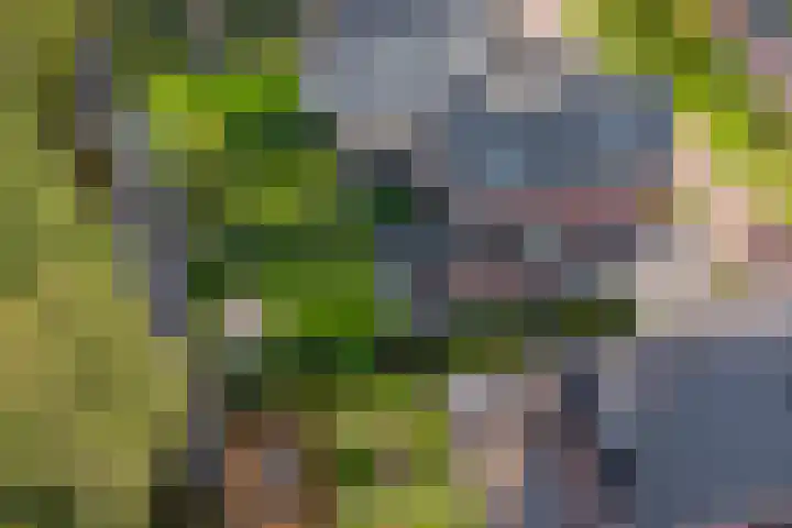 Standerdlaan 5 Heiloo thumbnail 50