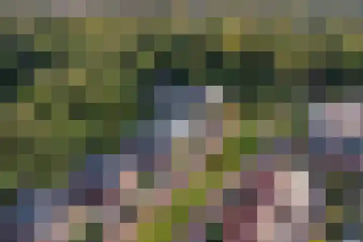 Standerdlaan 5 Heiloo thumbnail 51