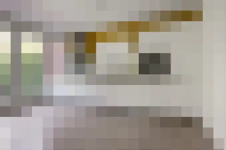 Standerdlaan 5 Heiloo thumbnail 8