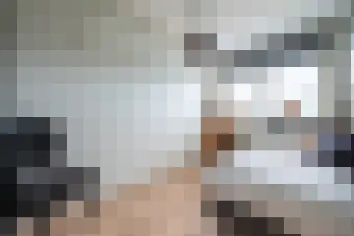 Standerdmolen 1 Groot-Ammers thumbnail 13