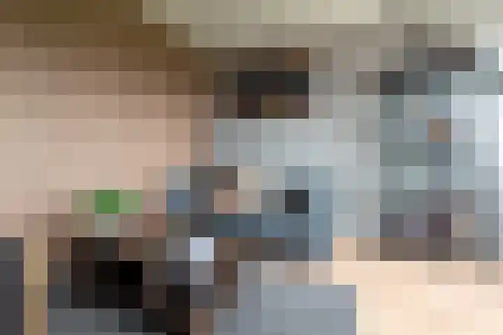 Standerdmolen 1 Groot-Ammers thumbnail 16