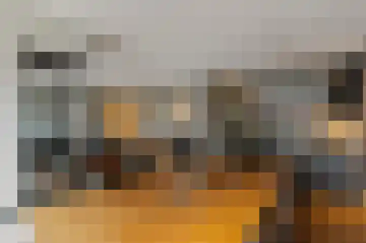Standerdmolen 10 Papendrecht thumbnail 16