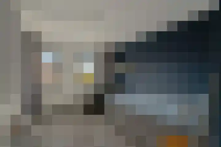 Standerdmolen 10 Papendrecht thumbnail 30