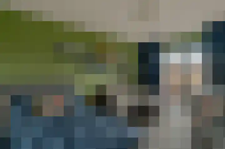 Standerdmolen 10 Papendrecht thumbnail 32