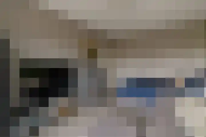 Standerdmolen 10 Papendrecht thumbnail 33