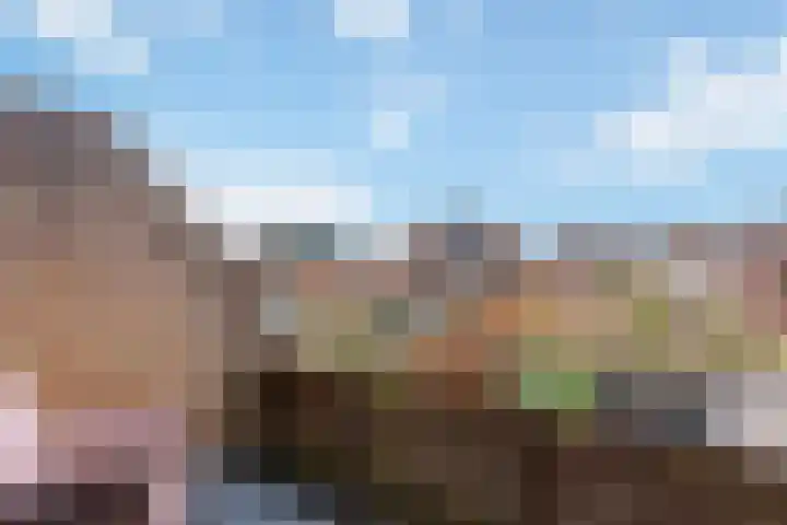 Standerdmolen 10 Papendrecht thumbnail 34