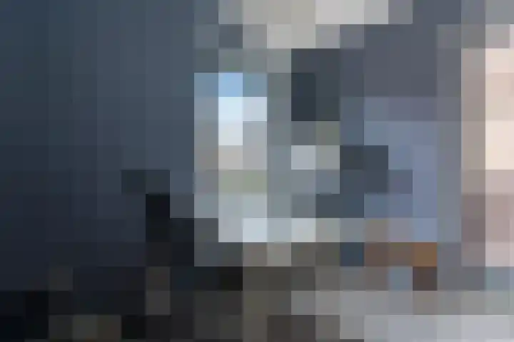 Standerdmolen 10 Papendrecht thumbnail 38