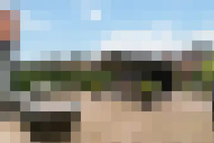 Standerdmolen 10 Papendrecht thumbnail 4