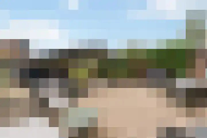 Standerdmolen 10 Papendrecht thumbnail 47
