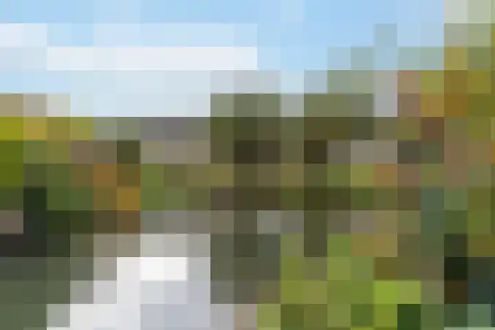 Standerdmolen 10 Papendrecht thumbnail 5