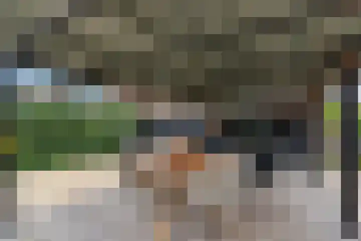 Standerdmolen 10 Papendrecht thumbnail 50