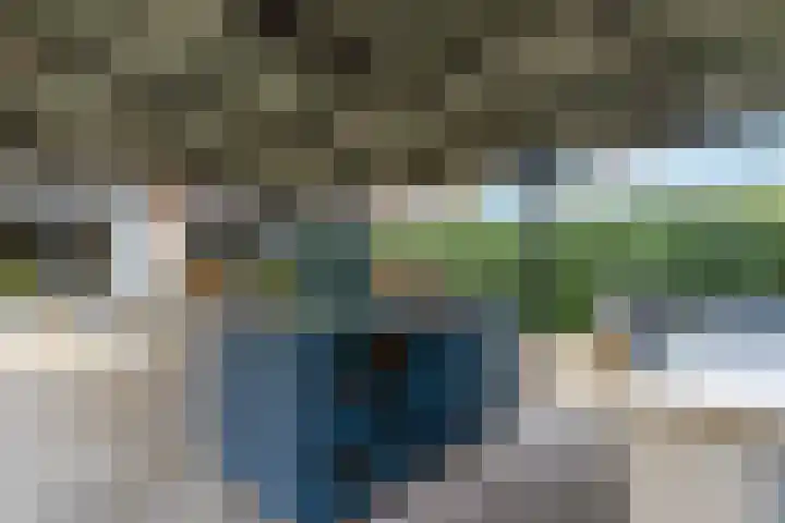Standerdmolen 10 Papendrecht thumbnail 51