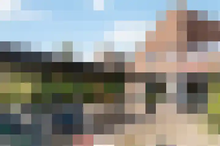 Standerdmolen 10 Papendrecht thumbnail 53