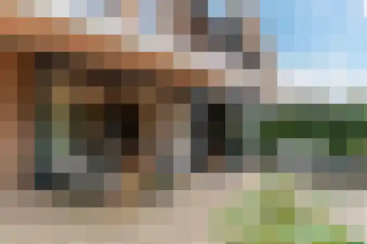 Standerdmolen 10 Papendrecht thumbnail 55