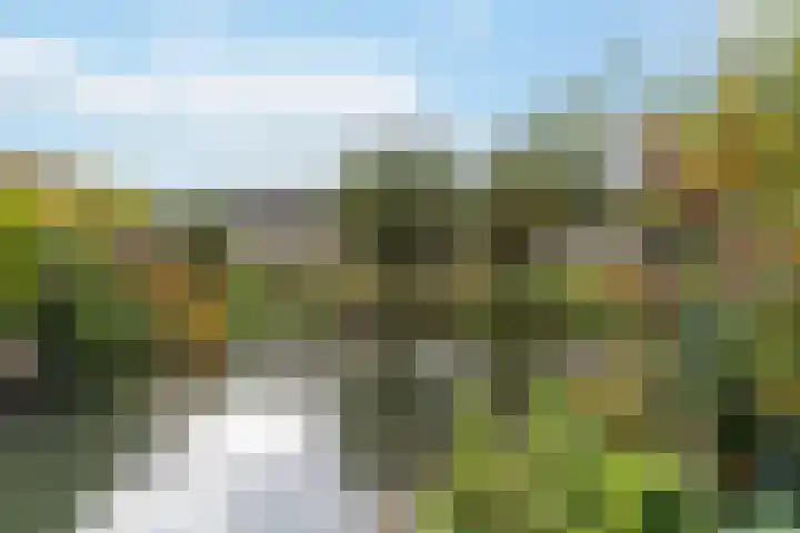 Standerdmolen 10 Papendrecht thumbnail 56